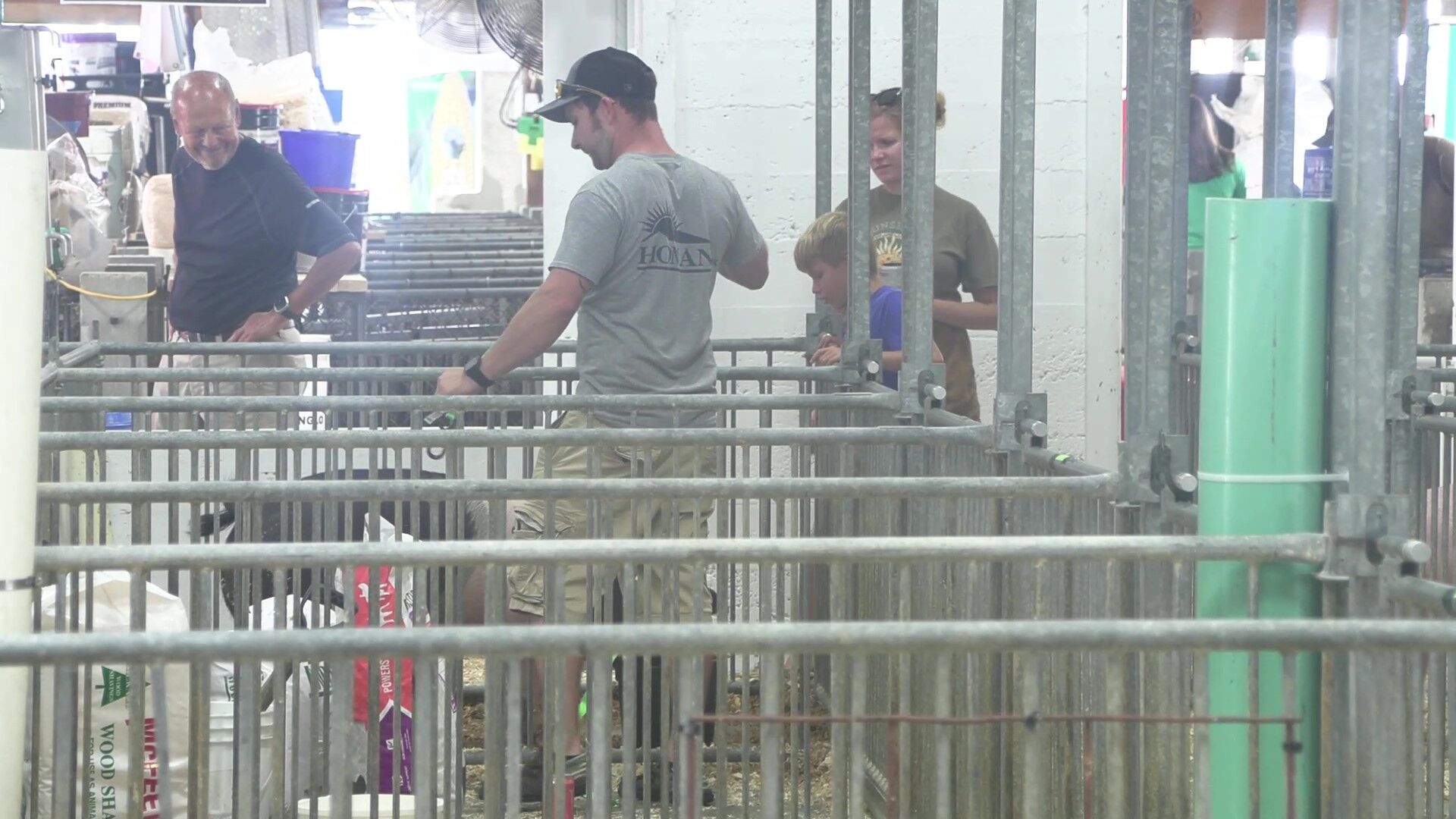 4-H pride and family fun take center stage at the 173rd Auglaize County Fair